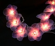 Hibiscus Fairy Lights_sml.jpg